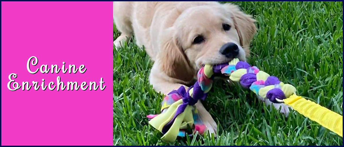 What Is Canine Enrichment? - Buy4PetsOnline