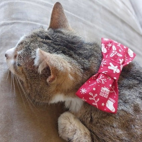 Xmas Cat Bow Tie - Choice of Fabrics