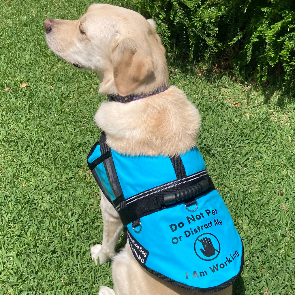 Handled Therapy/Assistance Dog Training Vest/Coat/ with ID Pouch (Badges & Print not included)