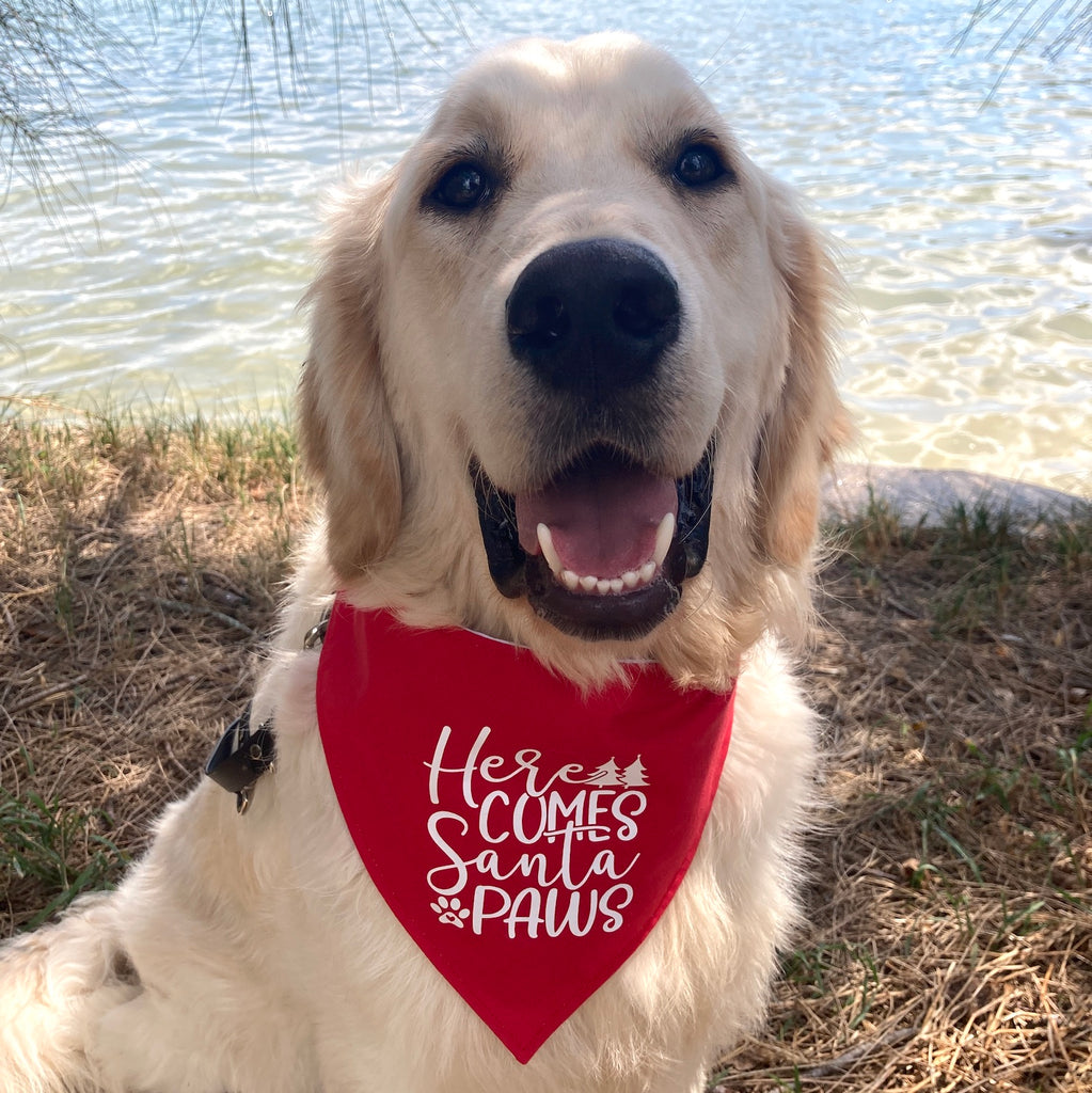 Christmas Bandanas Pebbles Paws