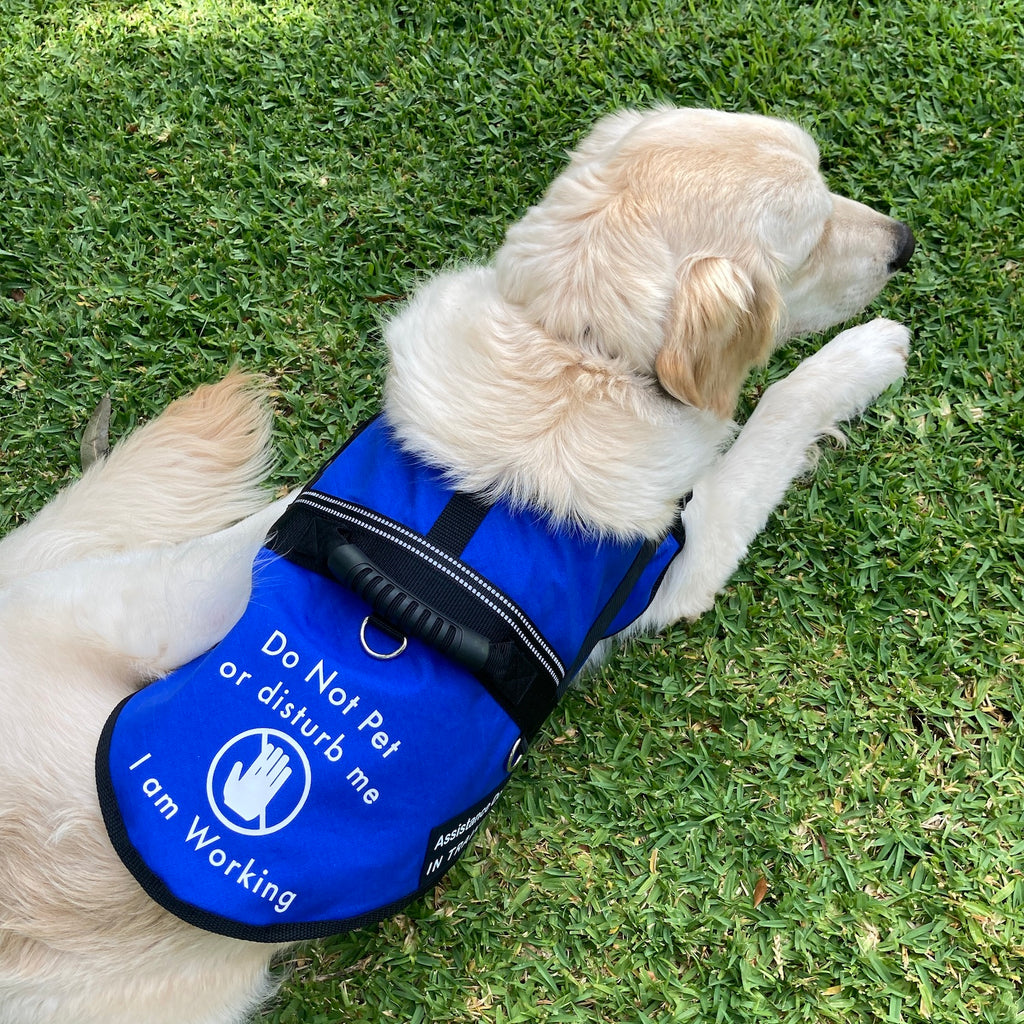 Handled Therapy/Assistance Dog Training Vest/Coat/ with ID Pouch (Badges & Print not included)