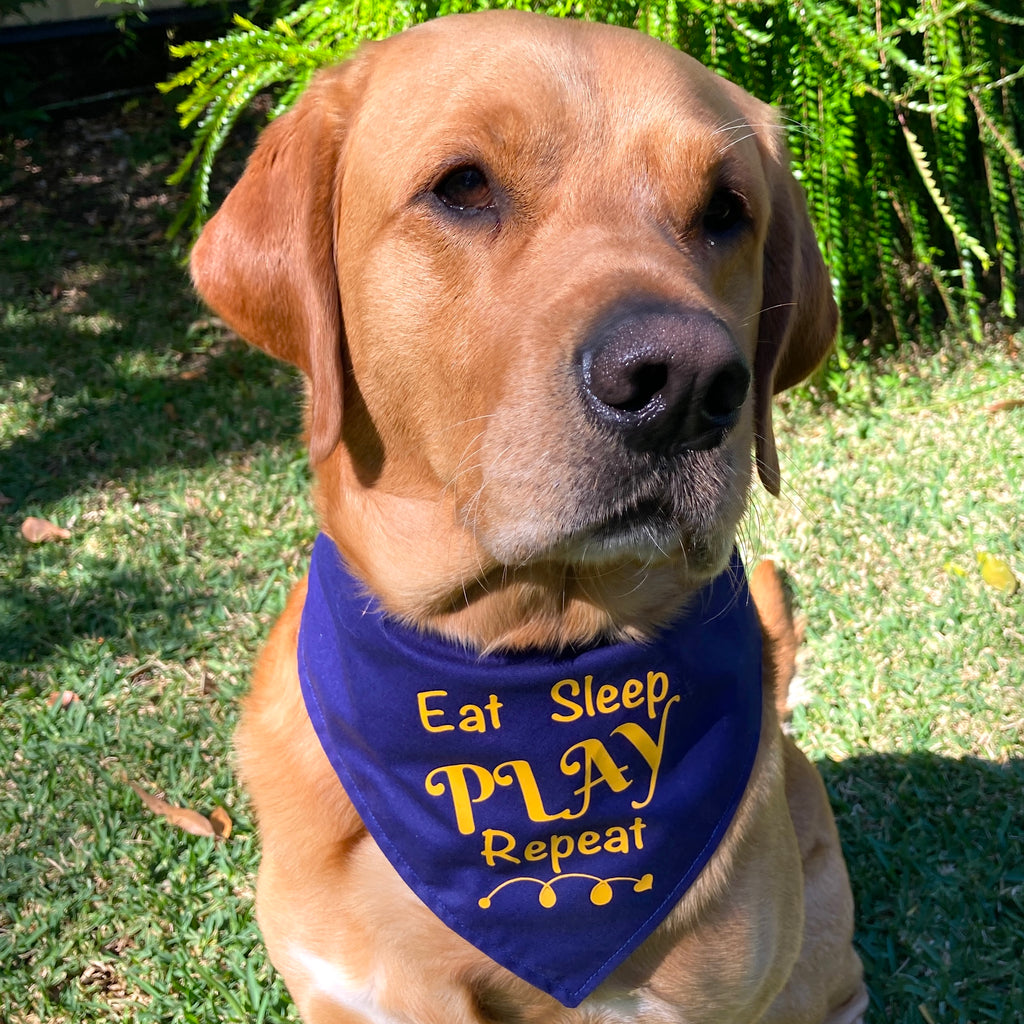 EAT SLEEP PLAY REPEAT - Printed Dog Bandana