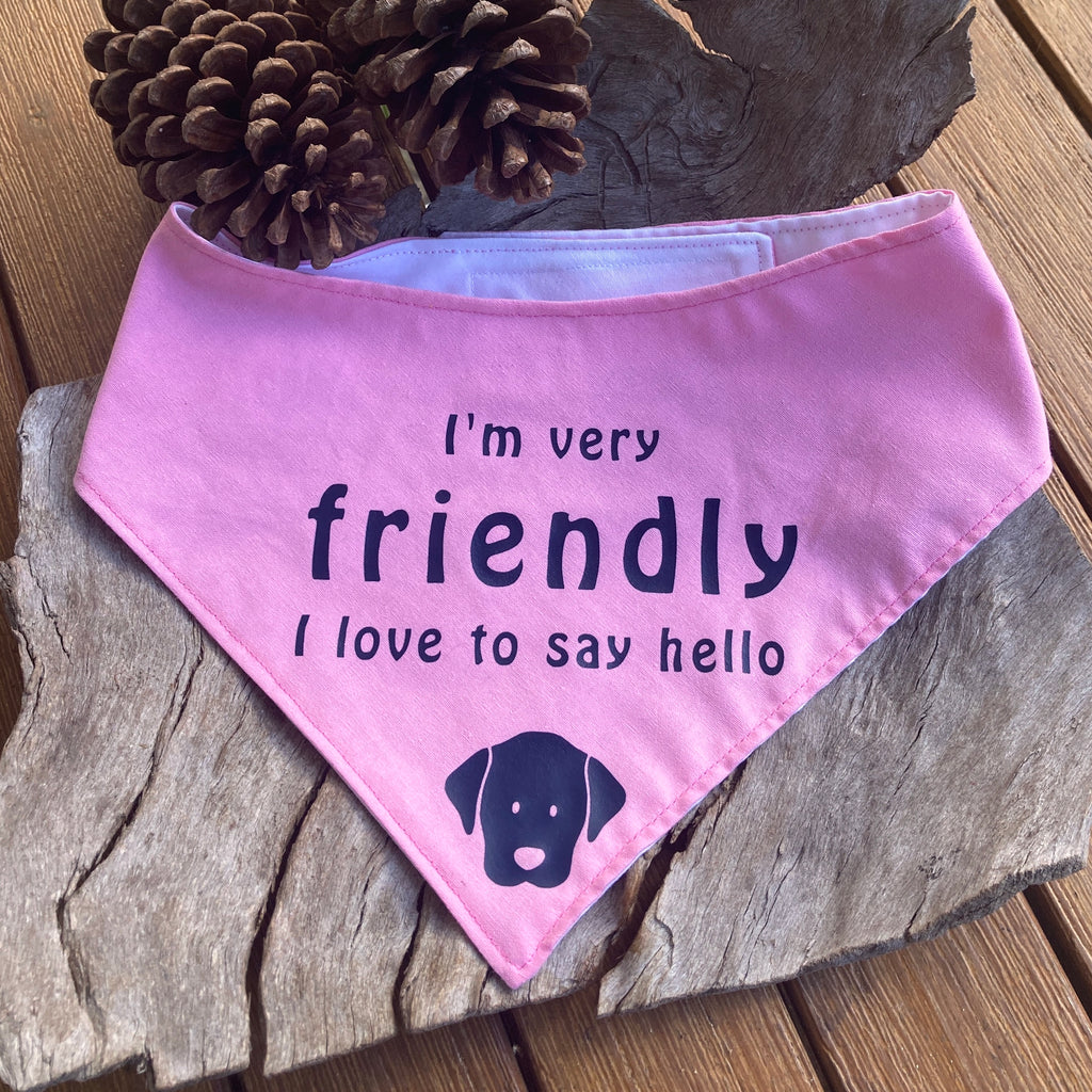 I'm very "FRIENDLY" I love to say Hello - Printed Dog Bandana