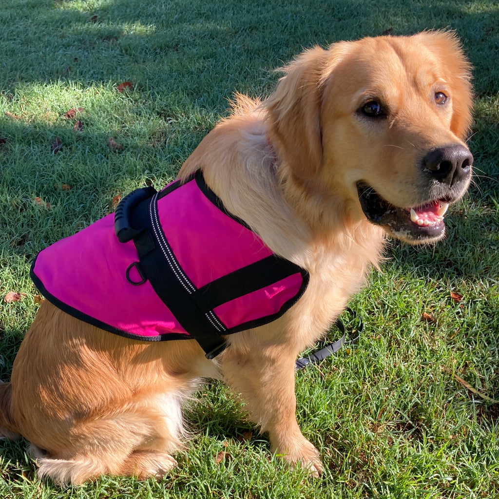 Handled Therapy/Assistance Dog Training Jacket / Coat with ID Pouch