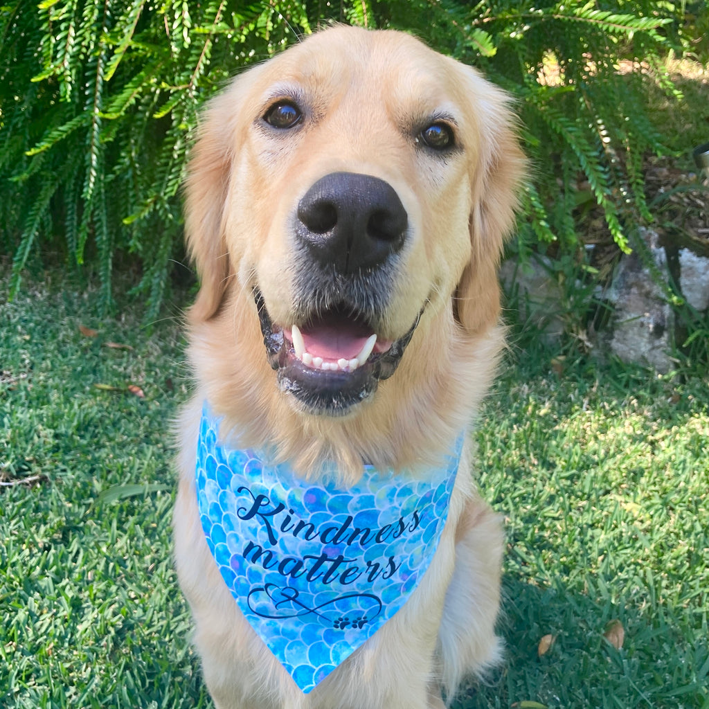 Kindness Matters - Printed Dog Bandana