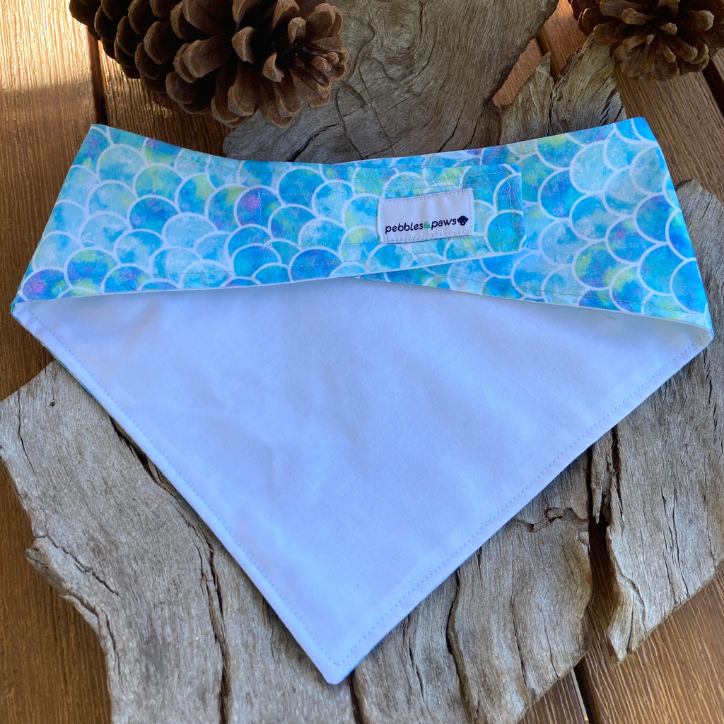 Kindness Matters - Printed Dog Bandana