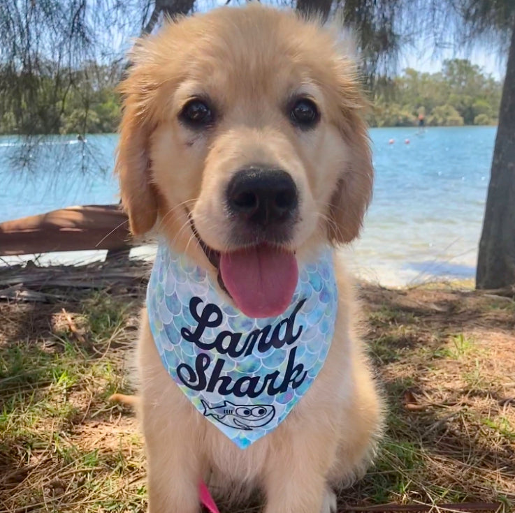 LAND SHARK / LITTLE SISTER - Reversible Printed Puppy Bandana