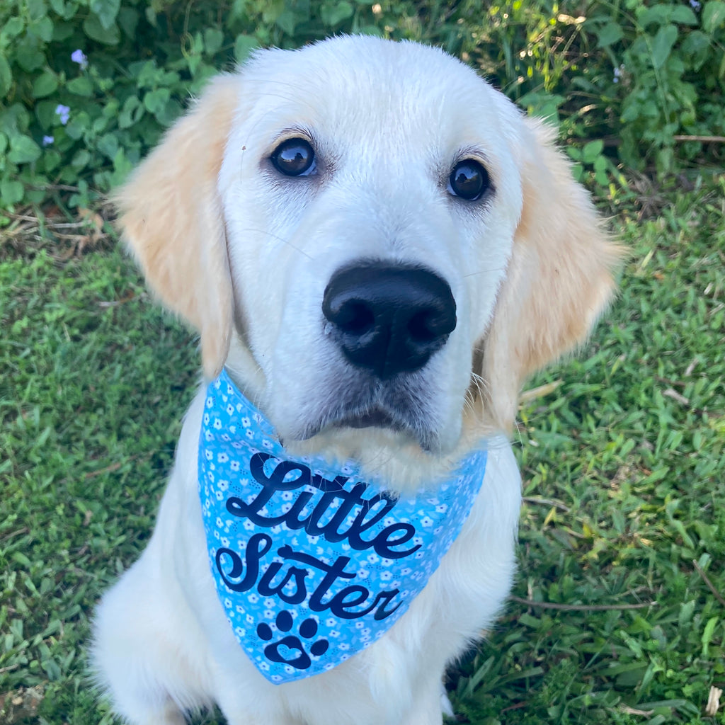 LAND SHARK / LITTLE SISTER - Reversible Printed Puppy Bandana