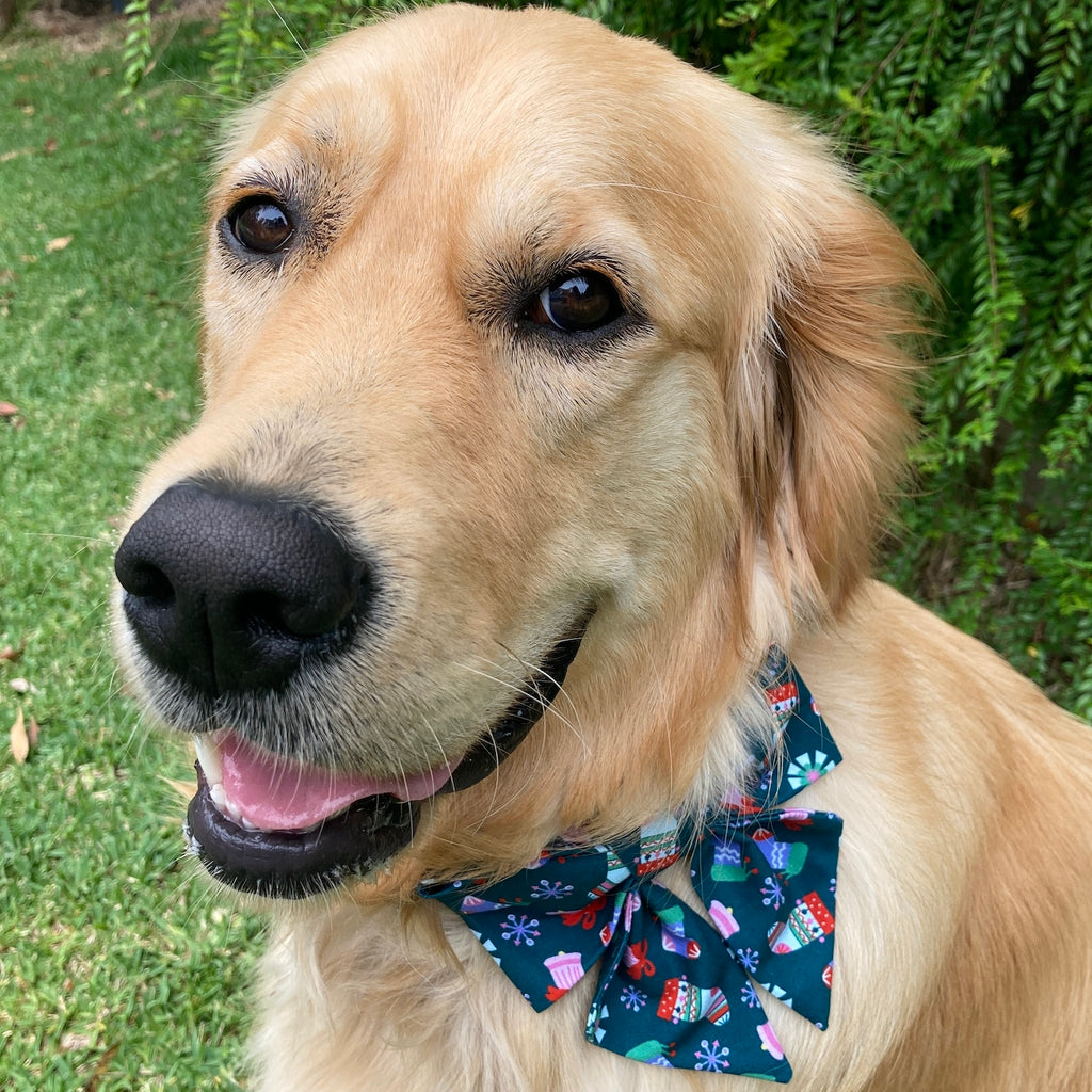 Xmas Dog Sailor Bow - "GREEN STOCKINGS"