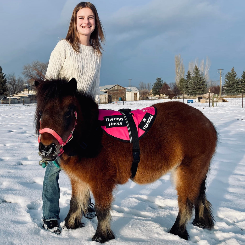 Equine Therapy Vest for Mini Horses - Choice of colours and sizes