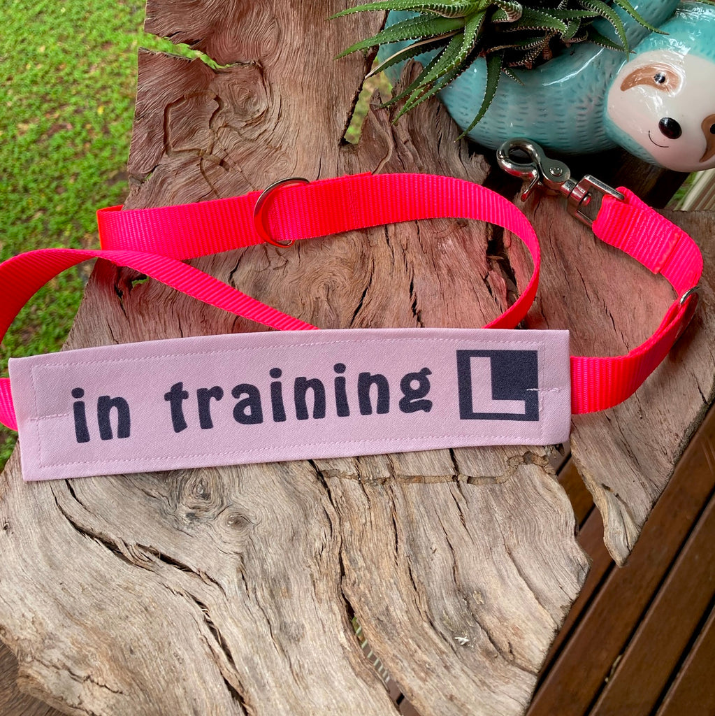 "IN TRAINING" Lead/Collar Strap - Pale Pink