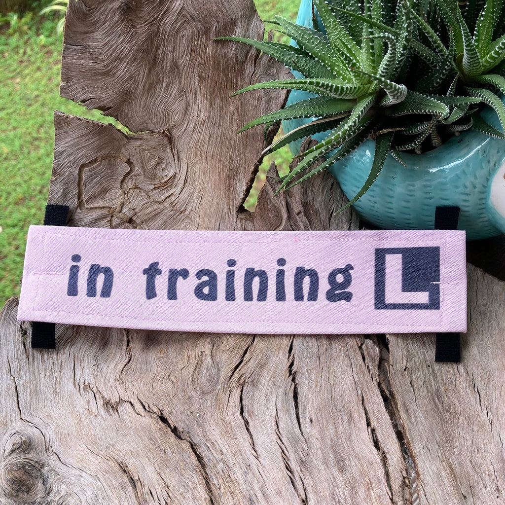 "IN TRAINING" Lead/Collar Strap - Pale Pink