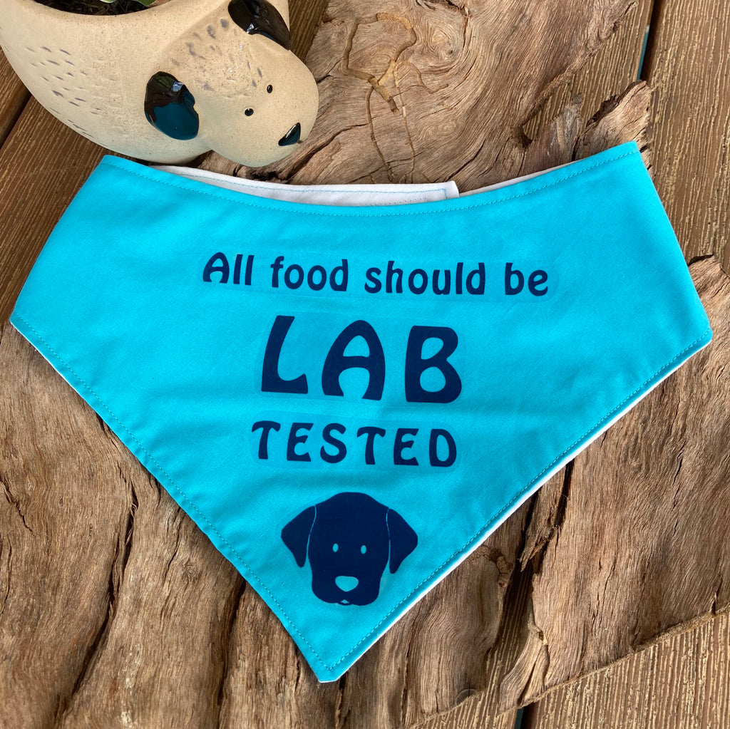 "LAB TESTED" Dog Bandana - Choice of colours