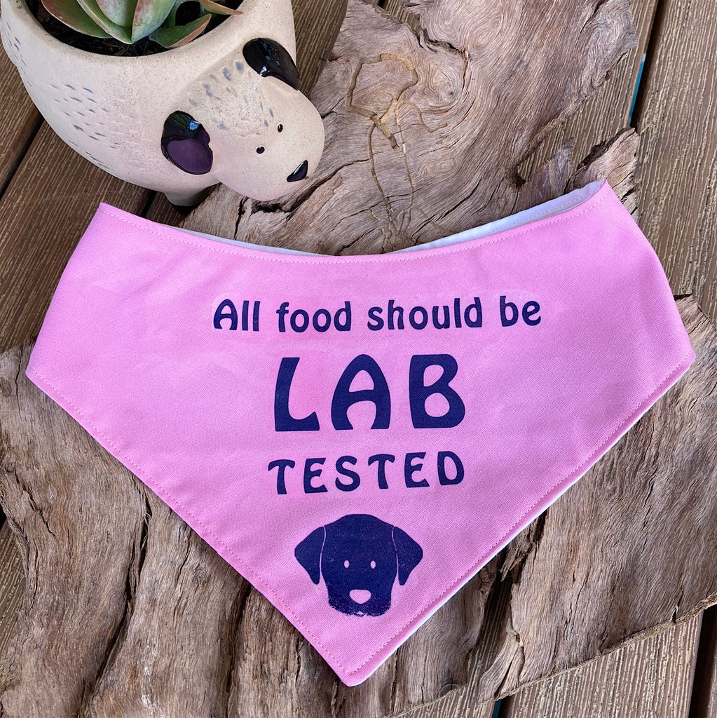 "LAB TESTED" Dog Bandana - Choice of colours