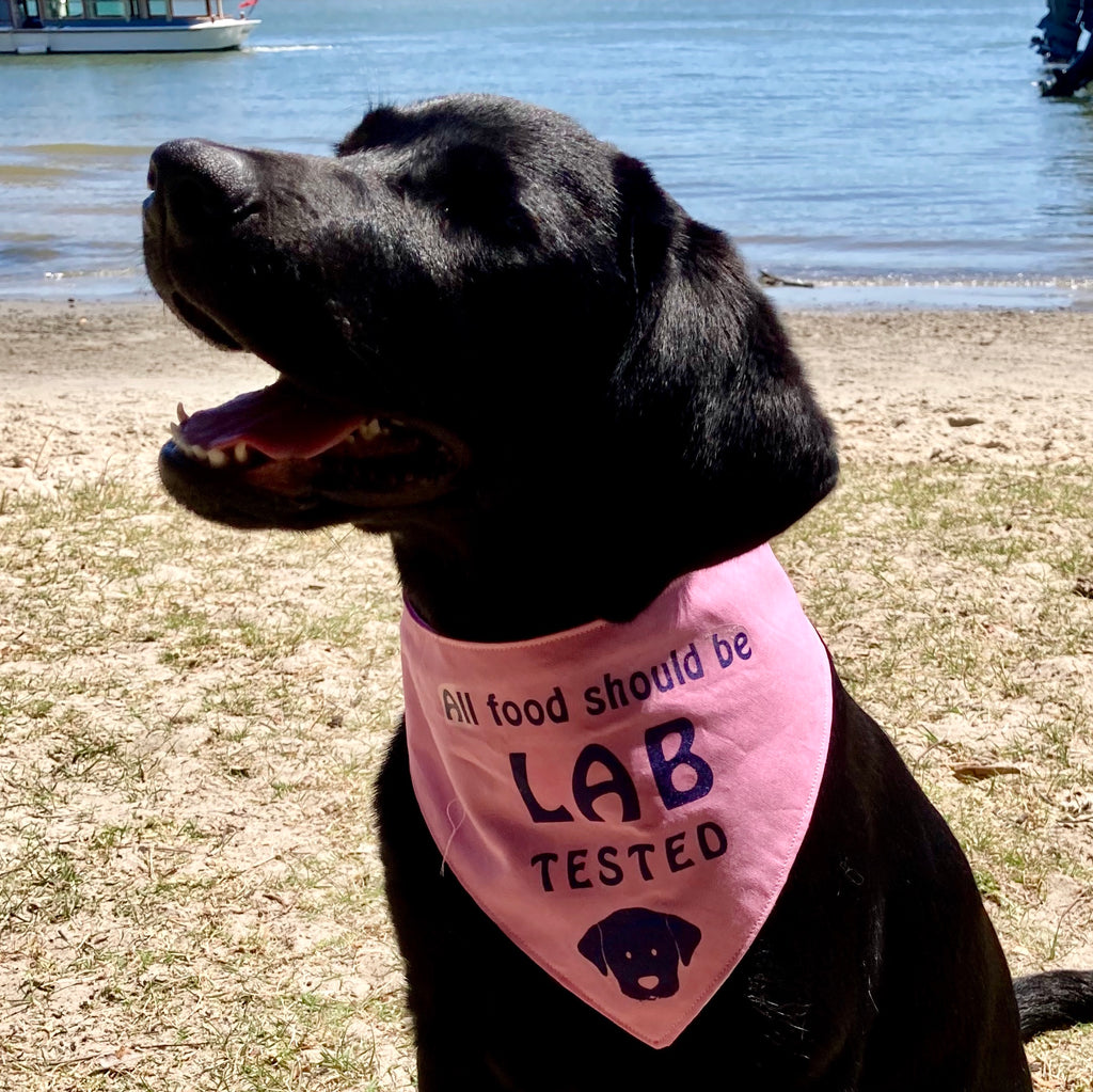 "LAB TESTED" Dog Bandana - Choice of colours