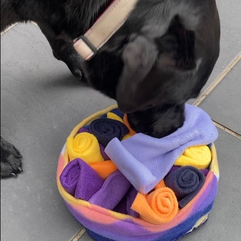 Sectioned Snuffle Bowl with 10 Fleece Wraps - Nosework Dog Enrichment Puzzle